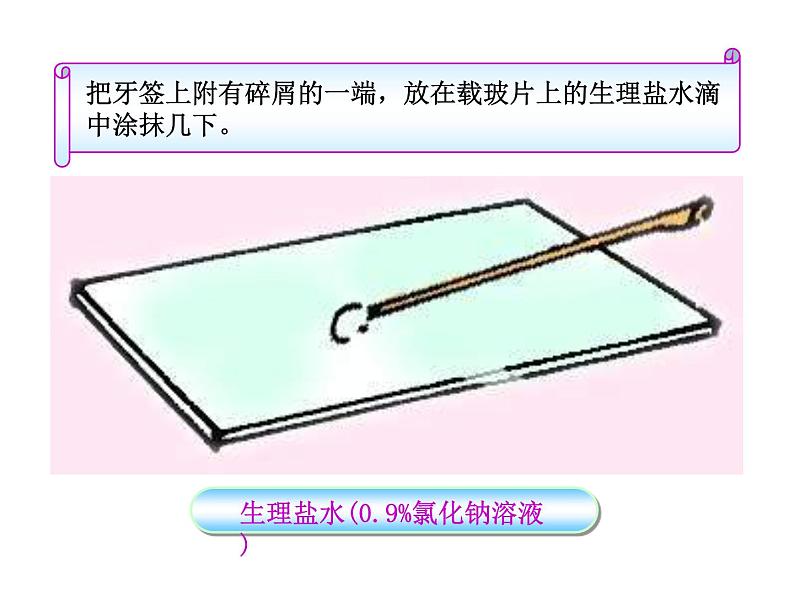 北师大版七年级上册生物 3.1 细胞的基本结构和功能 课件第4页