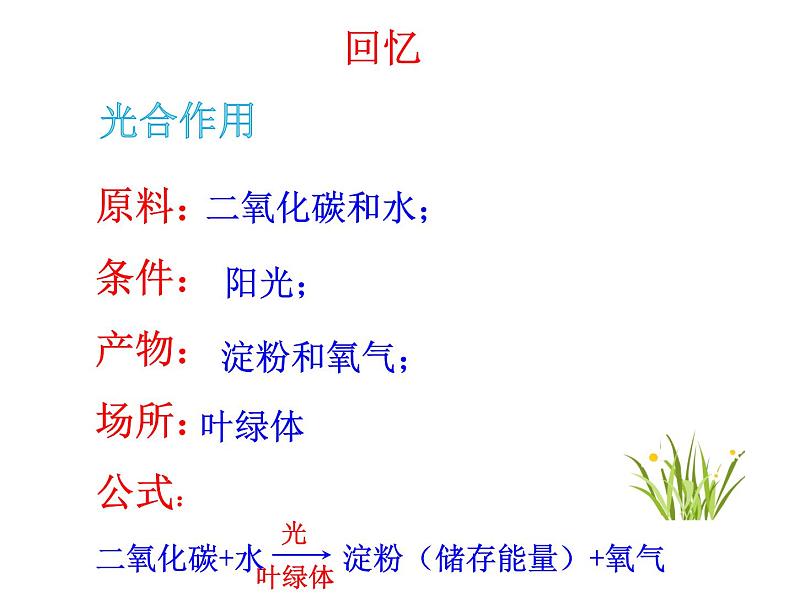 北师大版七年级上册生物 5.1 光合作用 课件第1页