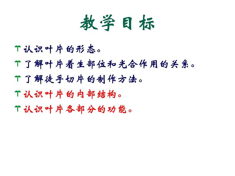 北师大版七年级上册生物 5.1 光合作用 课件第5页