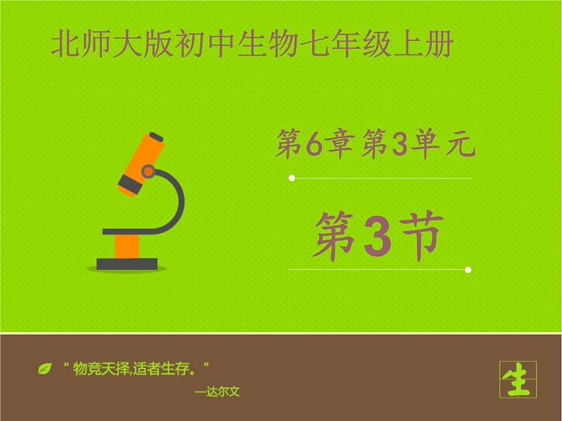 北师大版七年级上册生物 6.3 生殖器官的生长 课件01