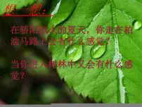 北师大版七年级上册第4节 蒸腾作用课文配套ppt课件