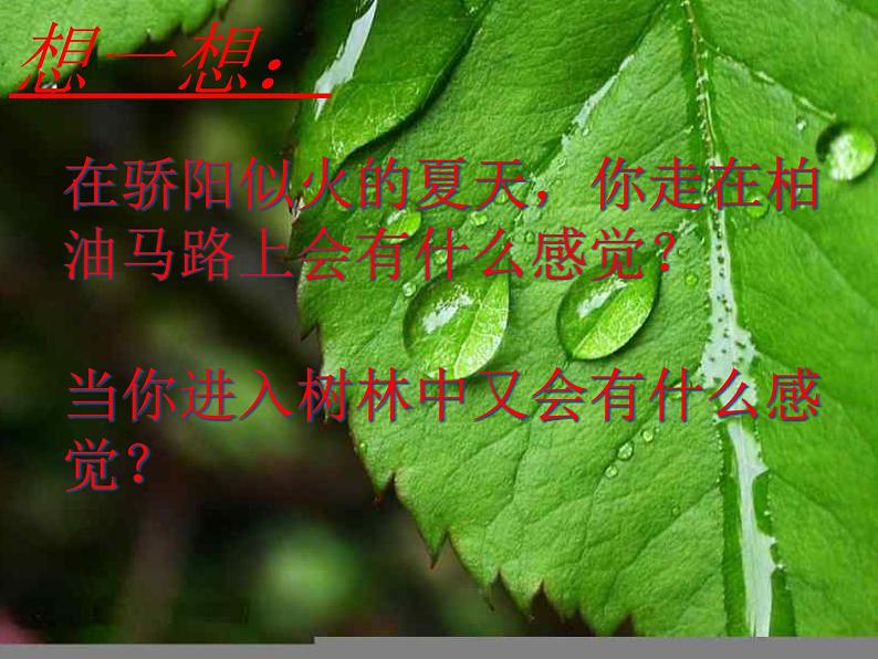 北师大版七年级上册生物 5.4 蒸腾作用 课件01