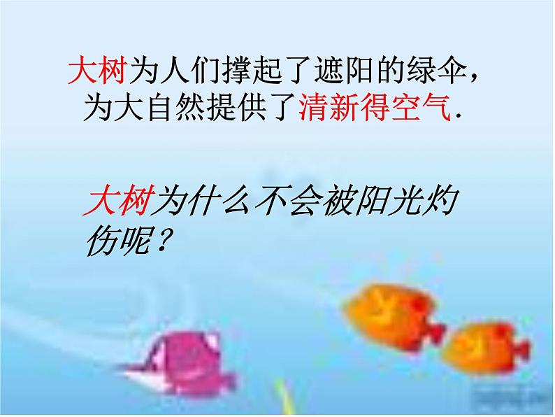 北师大版七年级上册生物 5.4 蒸腾作用 课件02