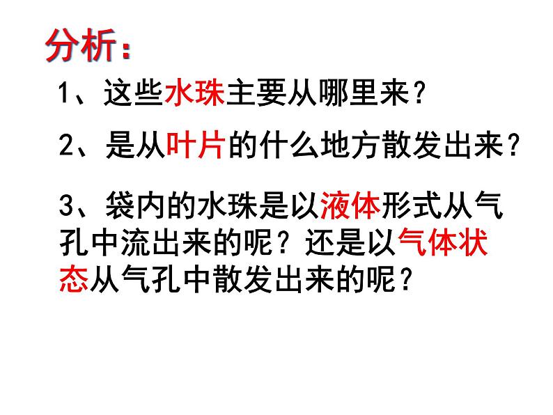 北师大版七年级上册生物 5.4 蒸腾作用 课件08