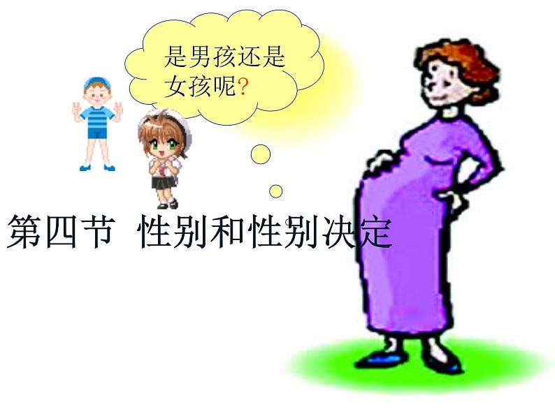 北师大版八年级上册生物 20.4 性别和性别决定 课件第3页