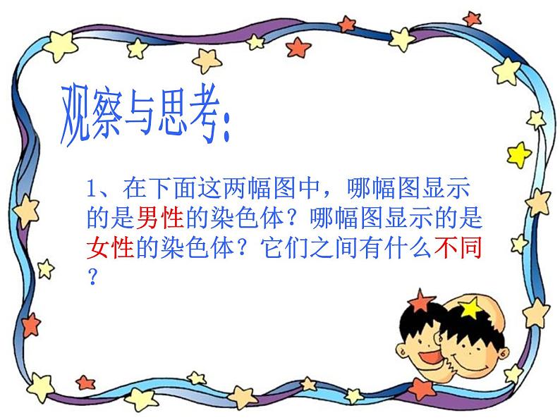 北师大版八年级上册生物 20.4 性别和性别决定 课件第4页