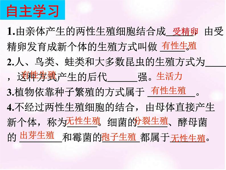 北师大版八年级上册生物 19.3 植物的生殖方式 课件03