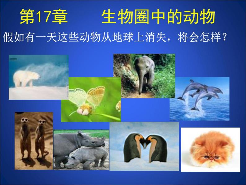 北师大版八年级上册生物  17.1 动物在生物圈中的作用 课件01