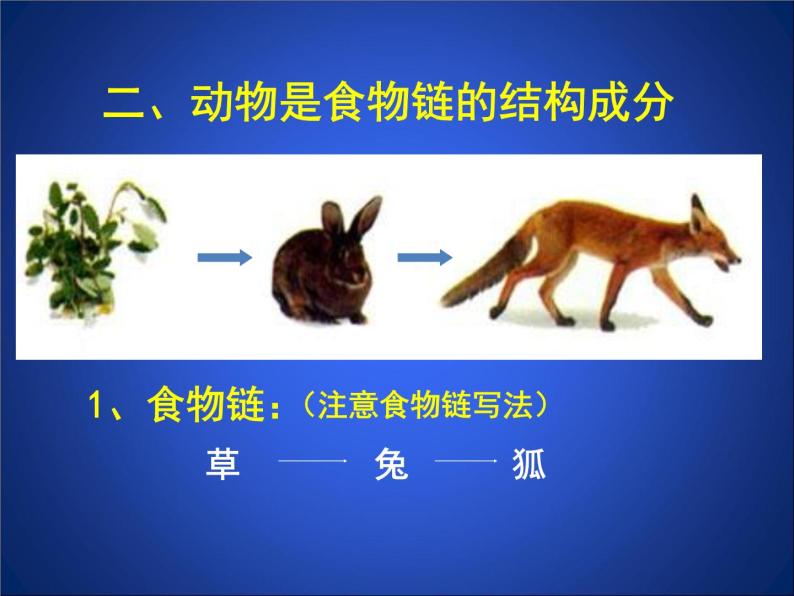 北师大版八年级上册生物  17.1 动物在生物圈中的作用 课件06