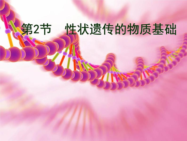 北师大版八年级上册生物 20.2 性状遗传的物质基础 课件01