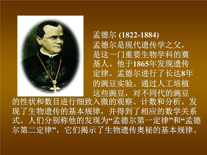 北师大版八年级上册生物 20.3 性状遗传有一定的规律性 课件第3页