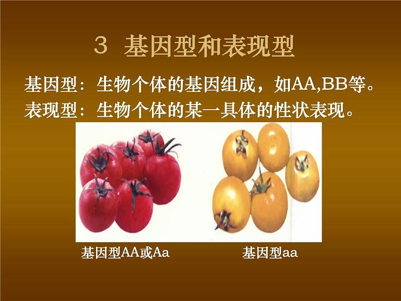 北师大版八年级上册生物 20.3 性状遗传有一定的规律性 课件第7页
