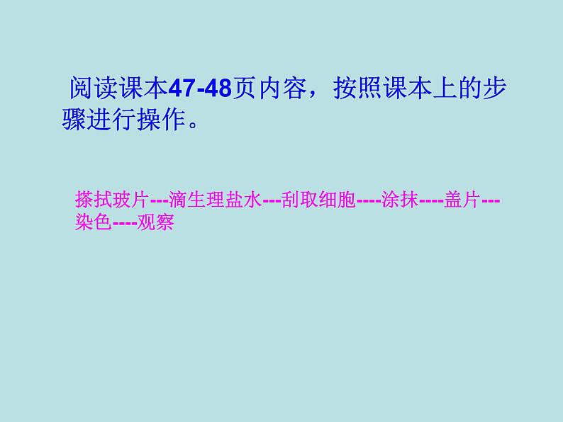 人教版七年级上册生物 2.1.3 动物细胞 课件第6页