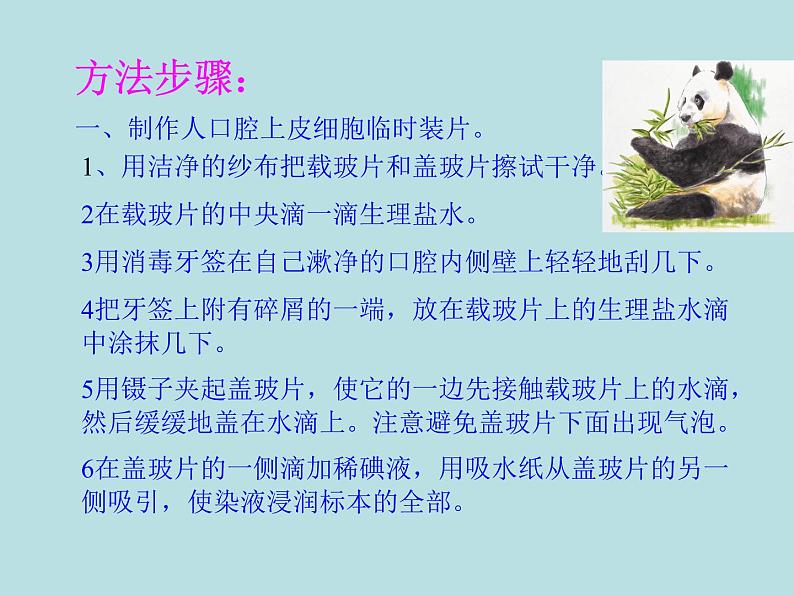 人教版七年级上册生物 2.1.3 动物细胞 课件第7页