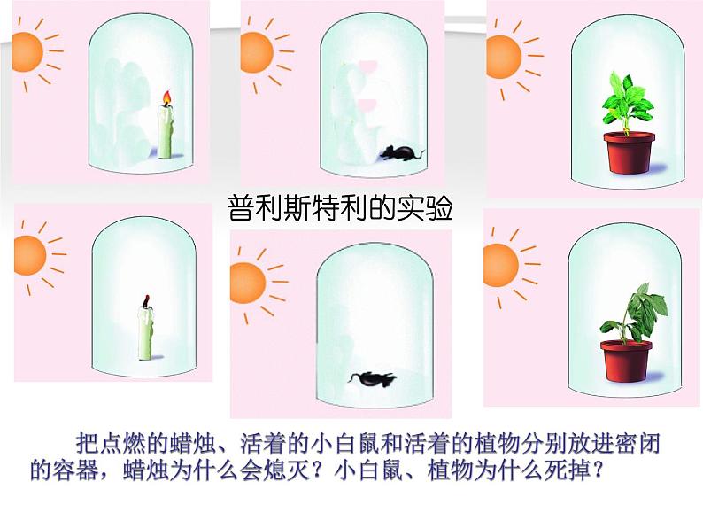 人教版七年级上册生物 3.5.1 光合作用吸收二氧化碳释放氧气 课件03
