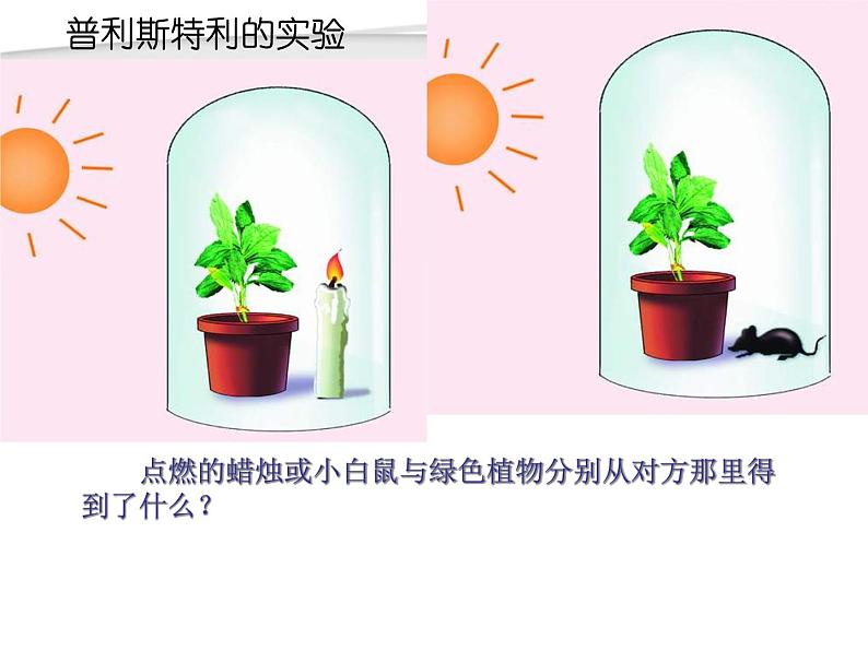 人教版七年级上册生物 3.5.1 光合作用吸收二氧化碳释放氧气 课件04