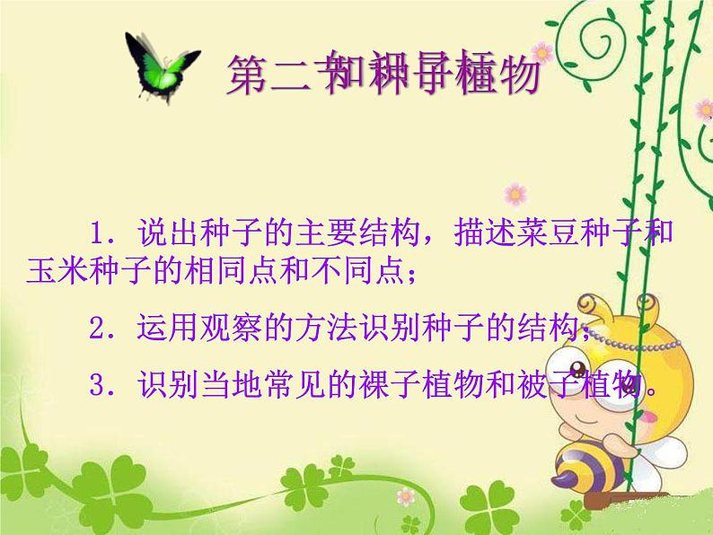 人教版七年级上册生物 3.1.2 种子植物 课件03
