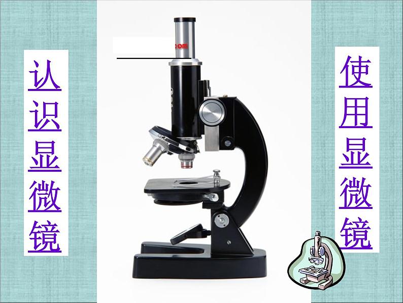 人教版七年级上册生物 2.1.1 练习使用显微镜 课件02