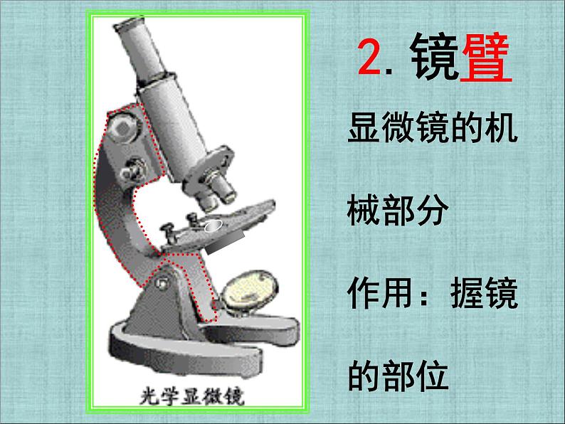 人教版七年级上册生物 2.1.1 练习使用显微镜 课件07