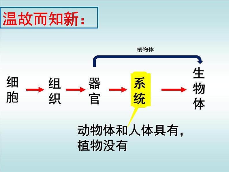 人教版七年级上册生物 2.2.4 单细胞生物 课件第1页