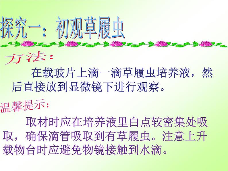 人教版七年级上册生物 2.2.4 单细胞生物 课件第3页