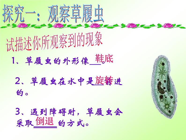 人教版七年级上册生物 2.2.4 单细胞生物 课件第5页