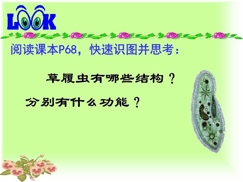 人教版七年级上册生物 2.2.4 单细胞生物 课件第6页