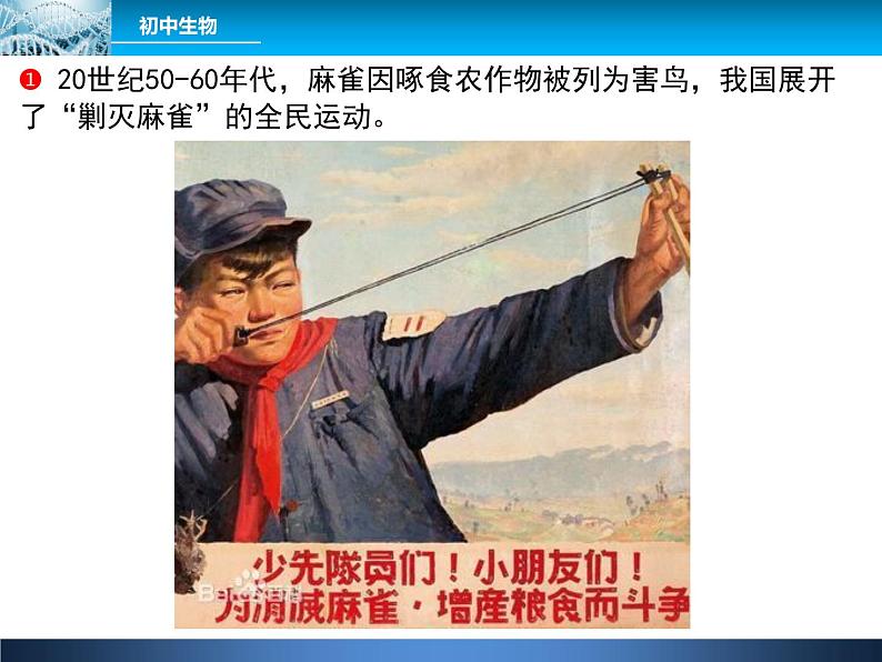 人教版八年级上册生物 5.3 动物在生物圈中的作用 课件第3页