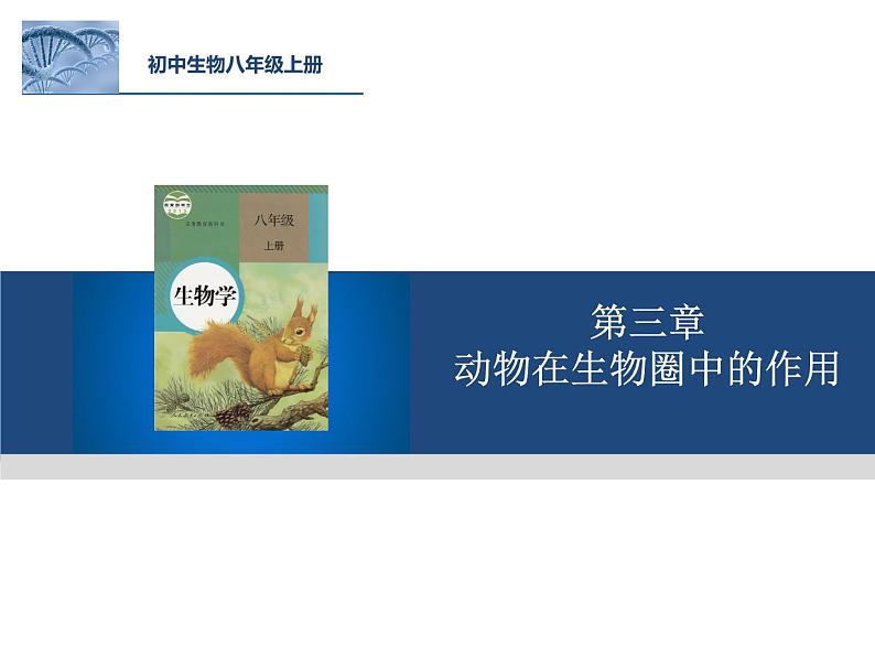 人教版八年级上册生物 5.3 动物在生物圈中的作用 课件第6页