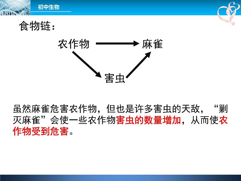 人教版八年级上册生物 5.3 动物在生物圈中的作用 课件第7页
