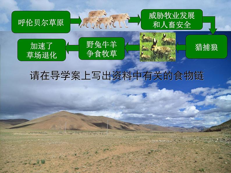 人教版八年级上册生物 5.3 动物在生物圈中的作用 课件第8页