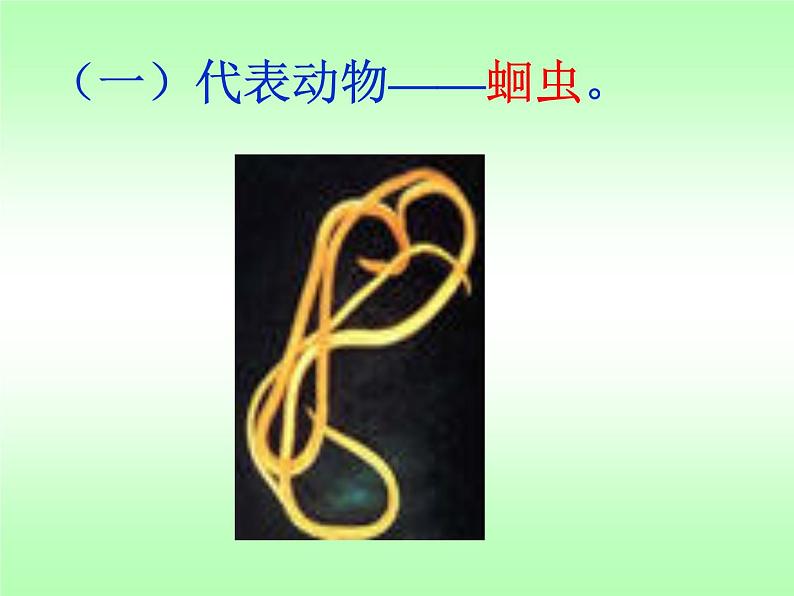 人教版八年级上册生物 5.1.2 线形动物和环节动物 课件第5页