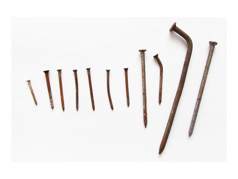 人教版八年级上册生物 5.4.2 细菌 课件第1页