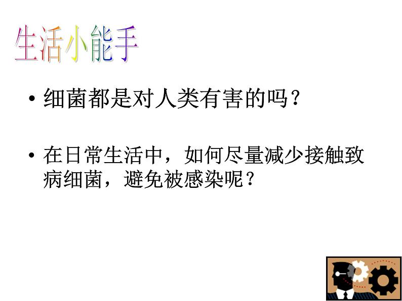 人教版八年级上册生物 5.4.2 细菌 课件第7页