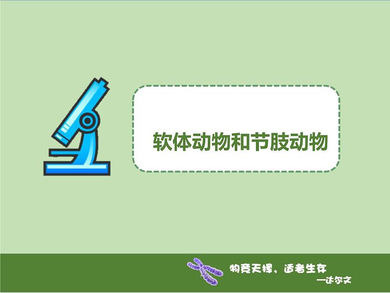 人教版八年级上册生物 5.1.3 软体动物和节肢动物 课件01