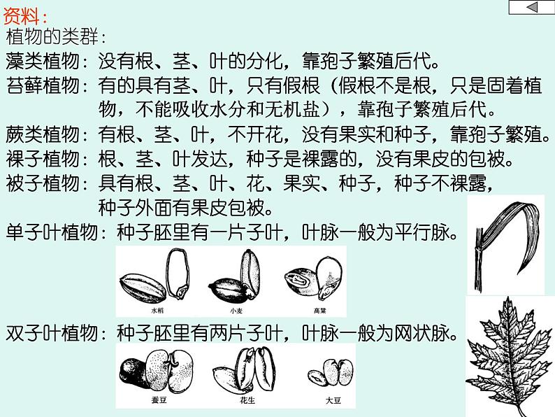 人教版八年级上册生物 6.1.1 尝试对生物进行分类 课件第5页