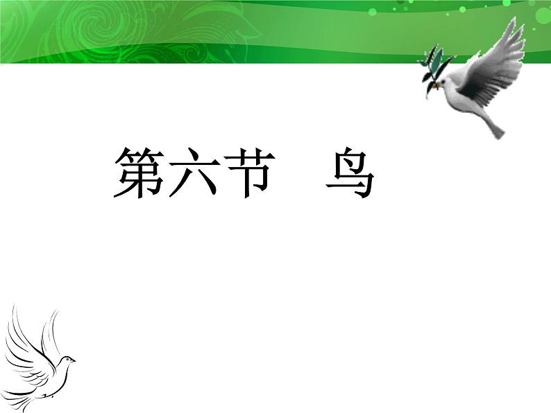 人教版八年级上册生物 5.1.6 鸟 课件01
