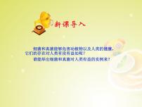 人教版 (新課標(biāo))八年級(jí)上冊(cè)第五單元 生物圈中的其他生物第四章 細(xì)菌和真菌第五節(jié) 人類(lèi)對(duì)細(xì)菌和真菌的利用備課課件ppt