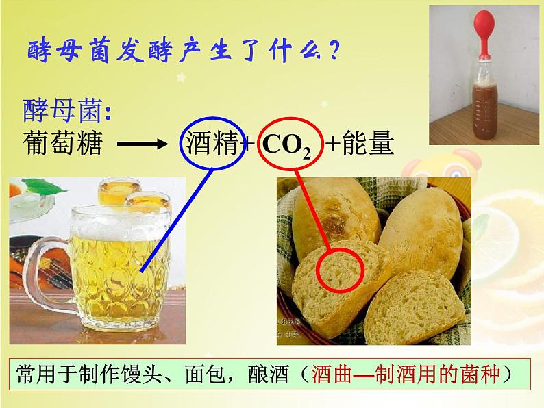 人教版八年级上册生物 5.4.5 人类对细菌和真菌的利用 课件第5页