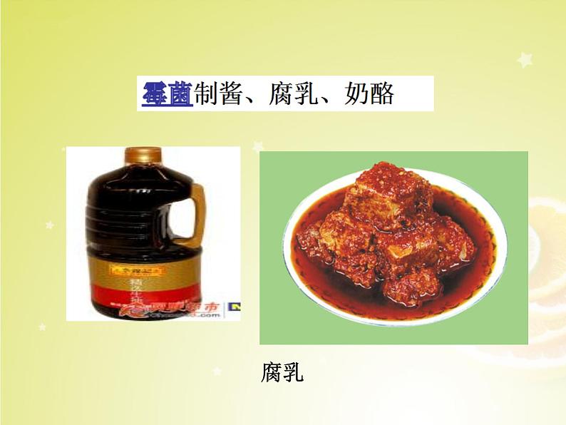 人教版八年级上册生物 5.4.5 人类对细菌和真菌的利用 课件第8页