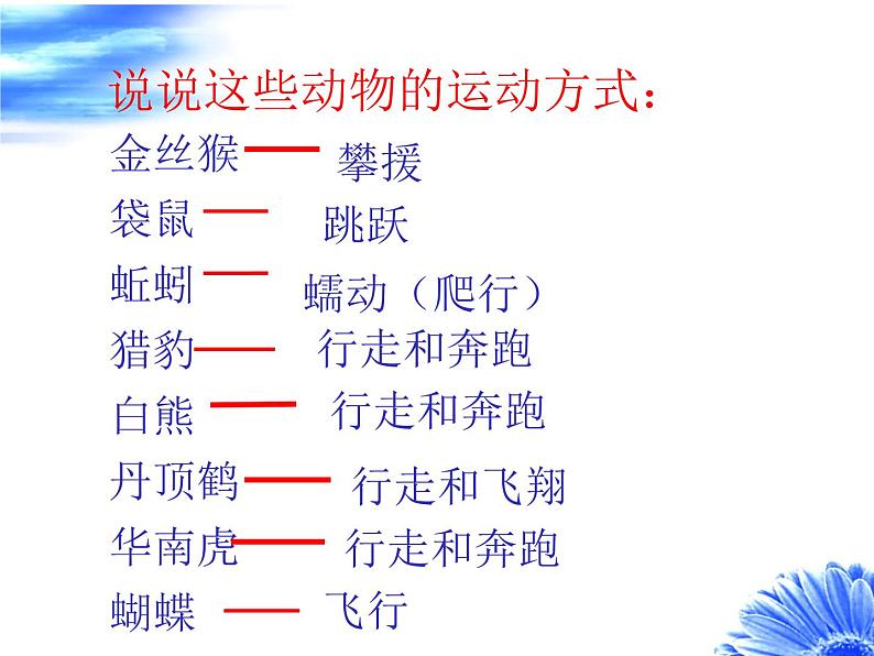 人教版八年级上册生物 5.2.1 动物的运动 课件第7页