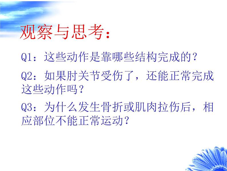 人教版八年级上册生物 5.2.1 动物的运动 课件第8页