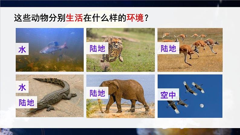 北师大版八上生物 15.1《动物运动的方式》 课件第2页
