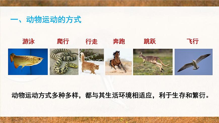 北師大版八上生物 第五單元 章節(jié)綜合與測試 PPT課件第2頁