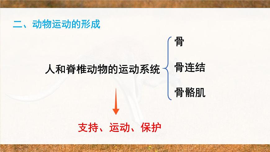 北師大版八上生物 第五單元 章節(jié)綜合與測試 PPT課件第3頁