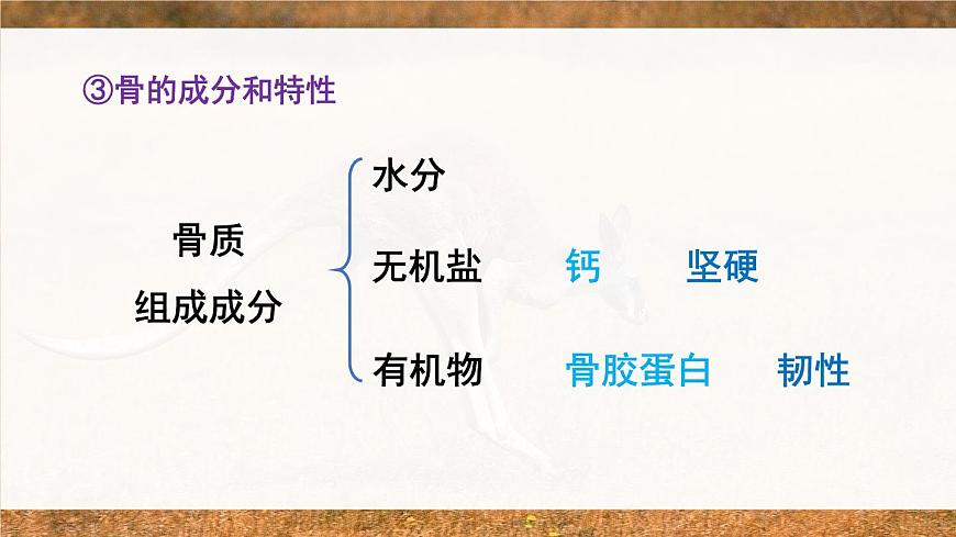 北師大版八上生物 第五單元 章節(jié)綜合與測試 PPT課件第6頁