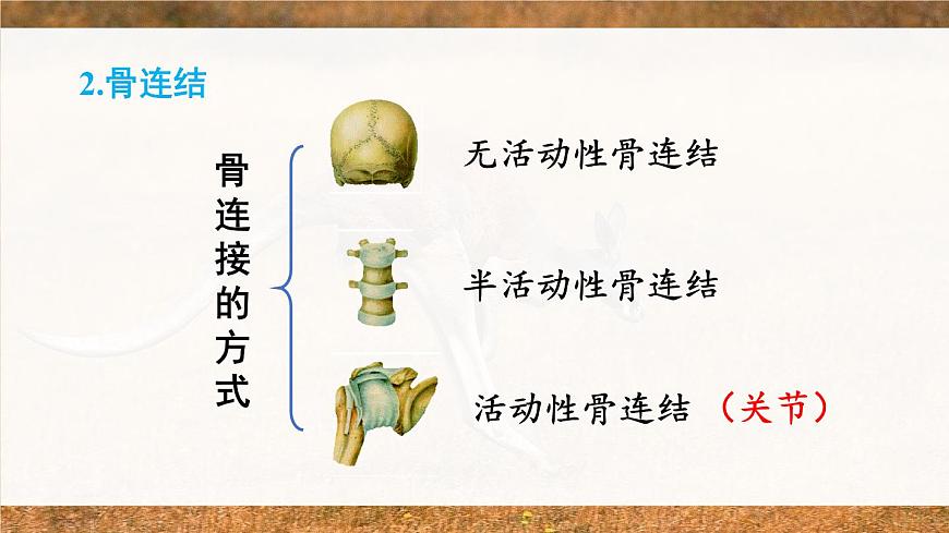北師大版八上生物 第五單元 章節(jié)綜合與測試 PPT課件第8頁