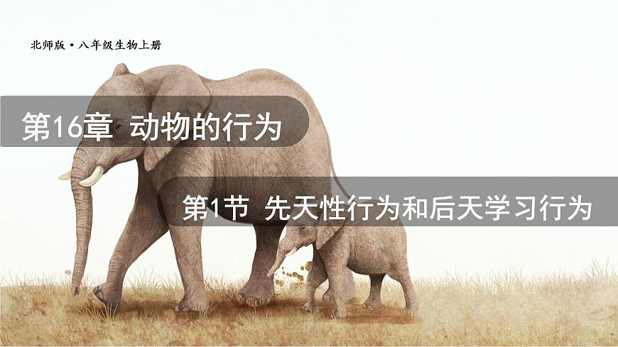 第1節(jié) 先天性行為和后天學(xué)習(xí)行為 課件第1頁(yè)
