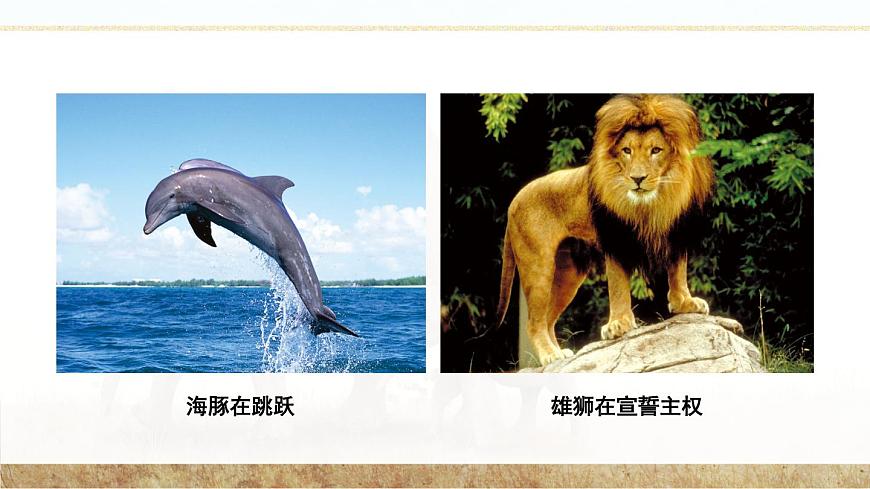 第1節(jié) 先天性行為和后天學(xué)習(xí)行為 課件第2頁(yè)