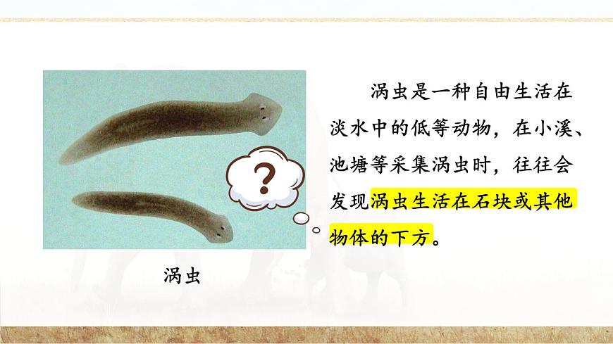 第1節(jié) 先天性行為和后天學(xué)習(xí)行為 課件第7頁(yè)